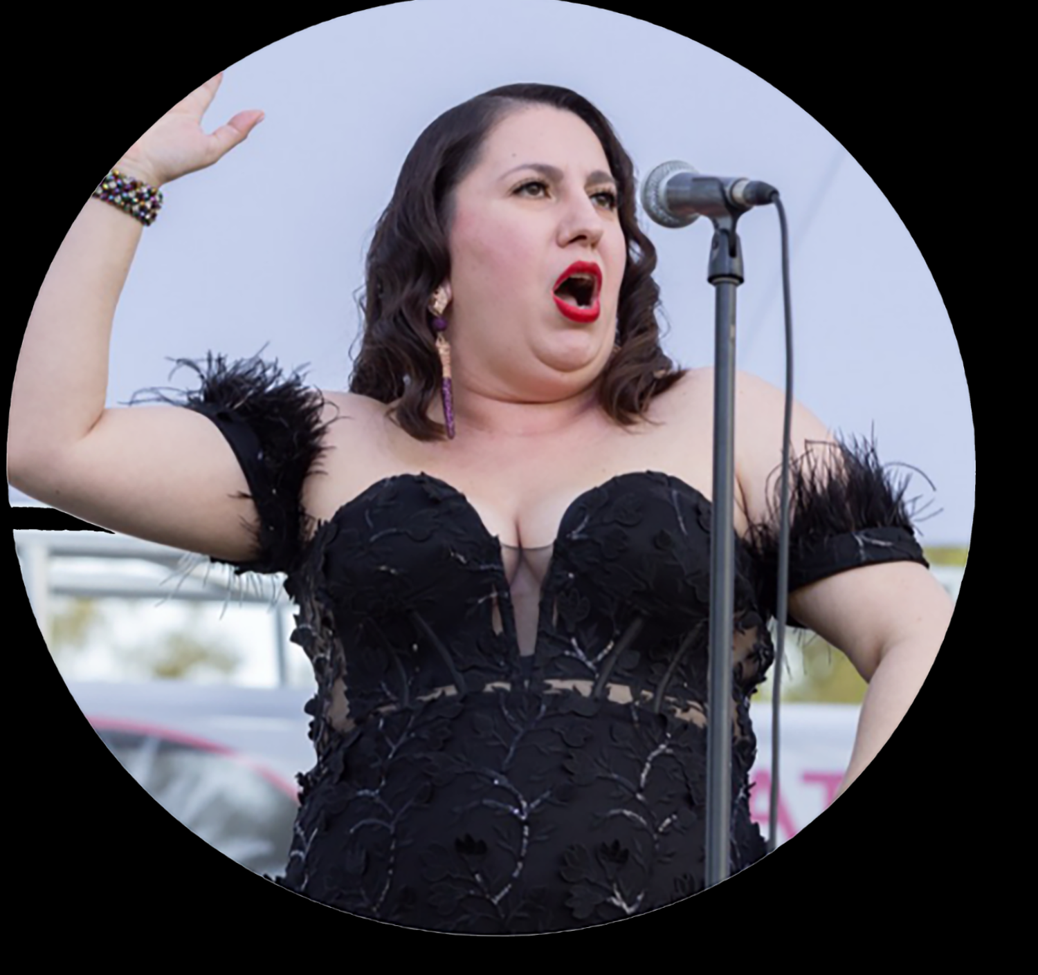 Opera Under the Stars | The Desert Insider